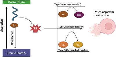 Evaluating the potency of laser-activated antimicrobial photodynamic therapy utilizing methylene blue as a treatment approach for chronic periodontitis